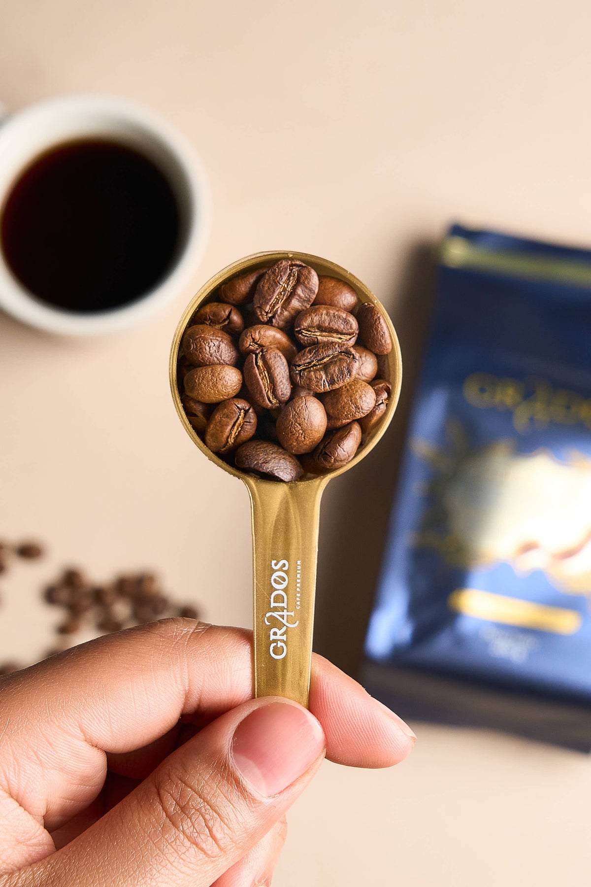 Café Castillo Santander | Café Premium 24 Grados Coffee